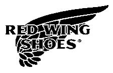Red wings logo